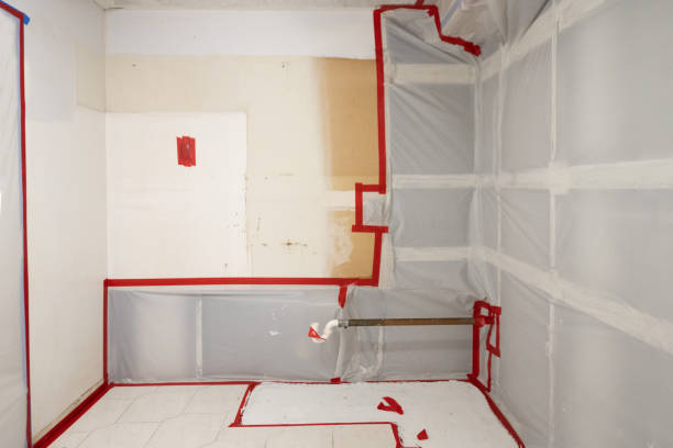 Best Emergency Mold Remediation  in La Vista, NE