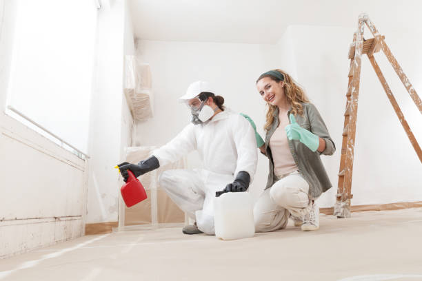 Best HVAC Mold Inspection and Cleaning  in La Vista, NE